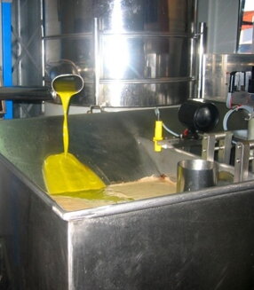Čerstvo vylisovaná 100% olivová šťava, extra panenský olivový olej Azeite Ficalho